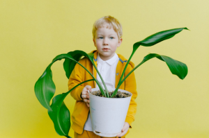 boy with a vase