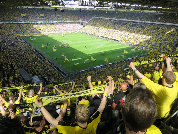 supporters